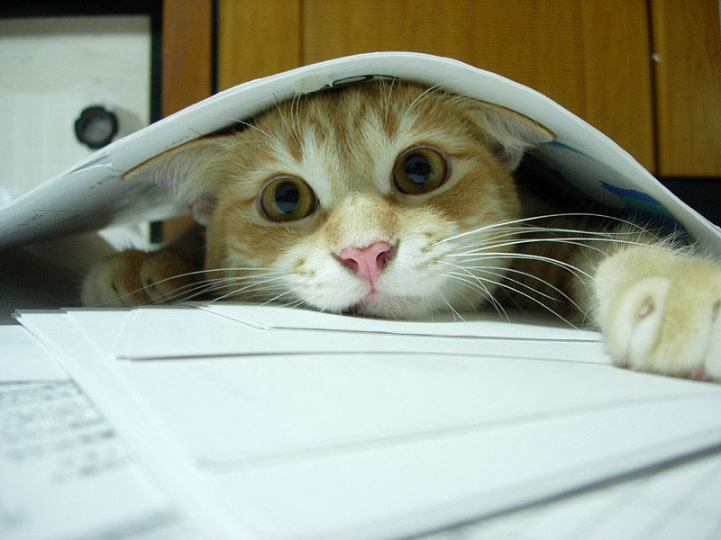 Study Tips and Hacks