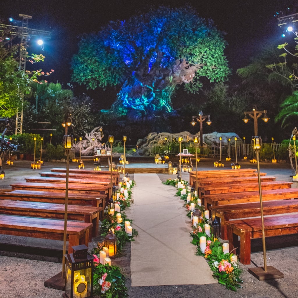 Weddings at Disney World Animal Kingdom Tree of Life