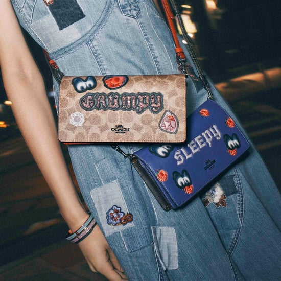Disney x Coach Collection 2018
