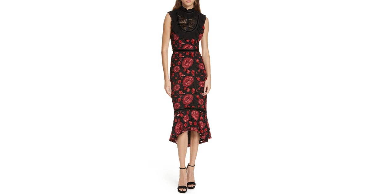 Alice and best sale olivia evelina dress