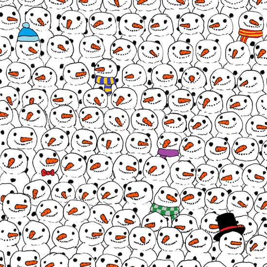 Find the Panda in This Drawing