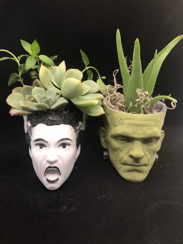 Frankenstein Halloween Succulent Planter