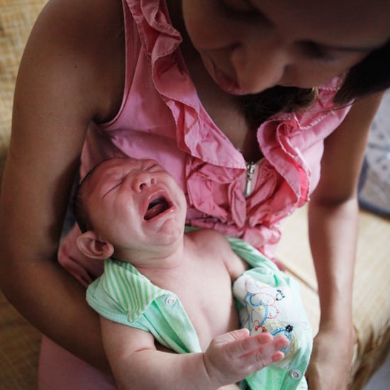 Zika Virus Transmission
