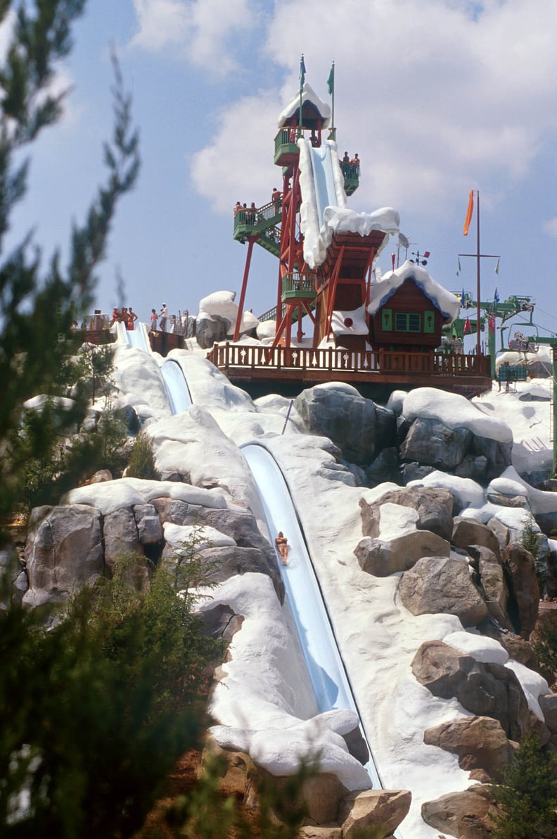 Blizzard Beach: The Frozen Games at Blizzard Beach