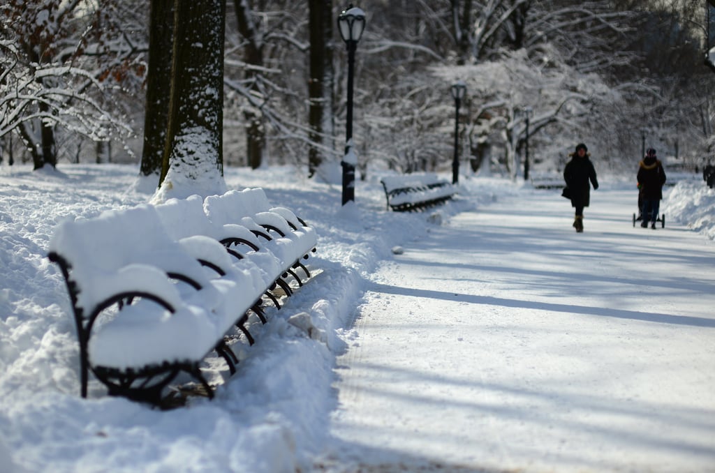 Central Park transformed into a Winter wonderland after heavy snowfall.