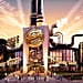 Universal Studios Toothsome Chocolate Factory Pictures