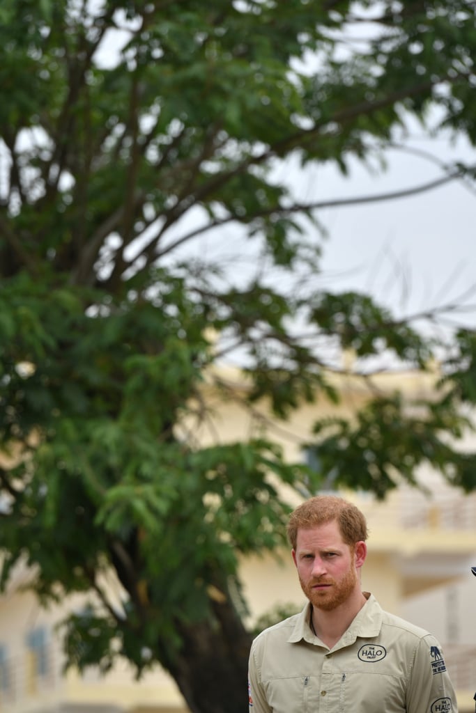 Meghan Markle and Prince Harry's South Africa Tour Pictures Meghan Markle and Prince Harry's South Africa Tour Pictures