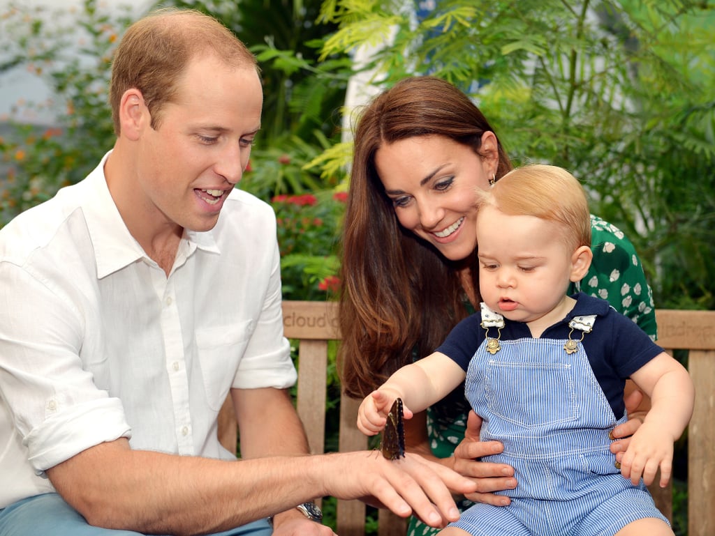 He showed George a butterfly, and BRB, there's something in my eye.