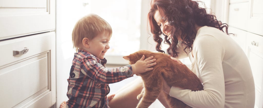 How to Keep Your Pet Happy at Home