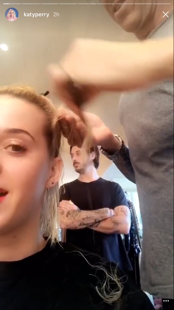 Getting the Big Snip