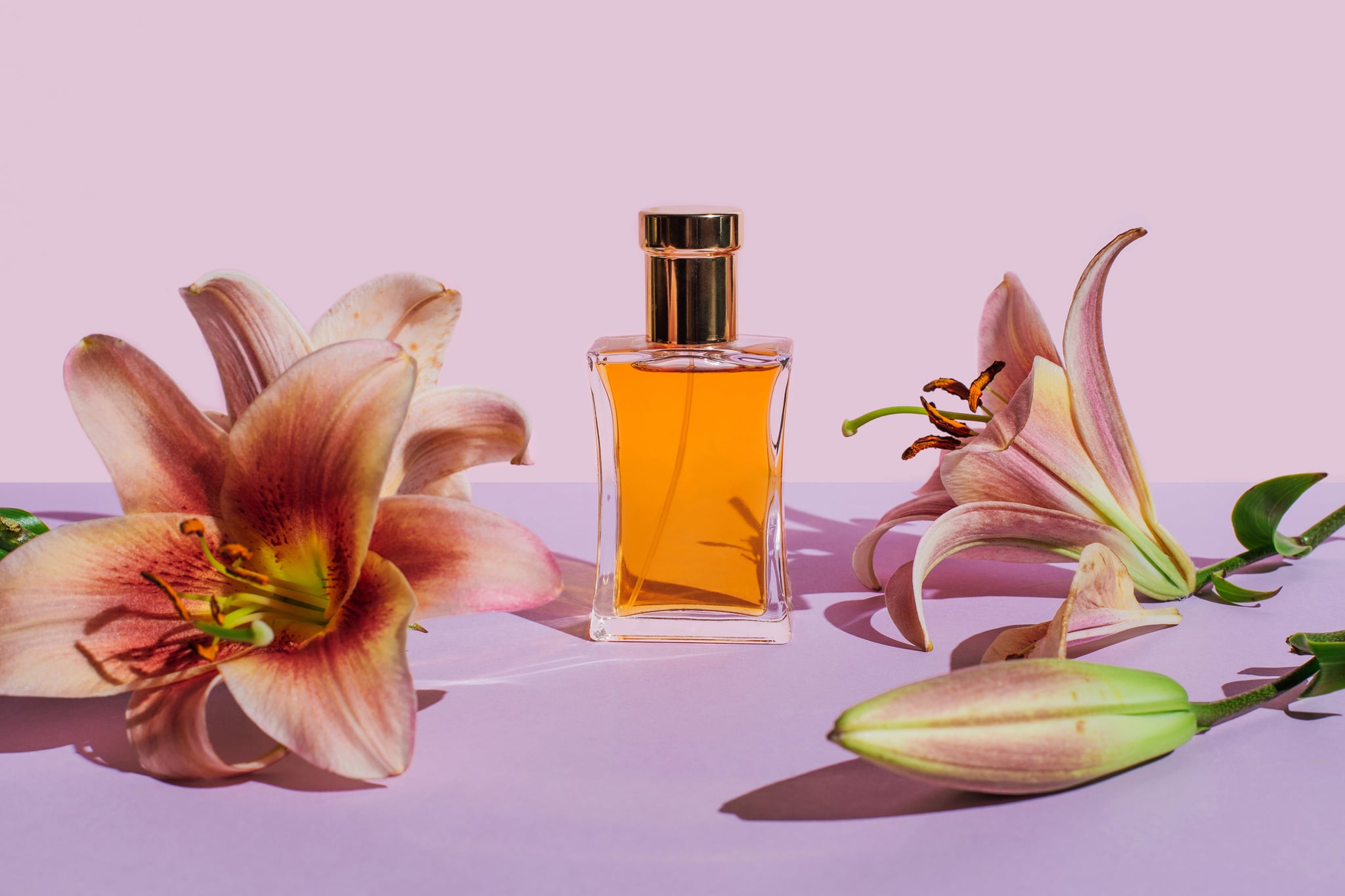 Bottle of perfume with lily flowers on purple background. Beauty products for body and face care. Minimal style perfumery template