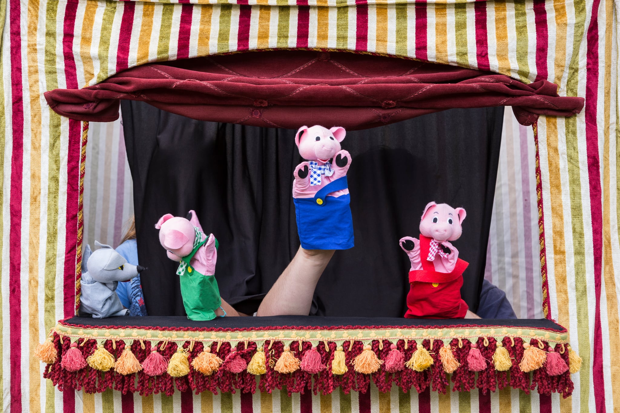 Put Puppet Show 