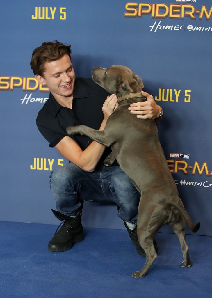 Tom Holland With His Dog Pictures