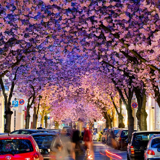 First Pictures of Spring 2014