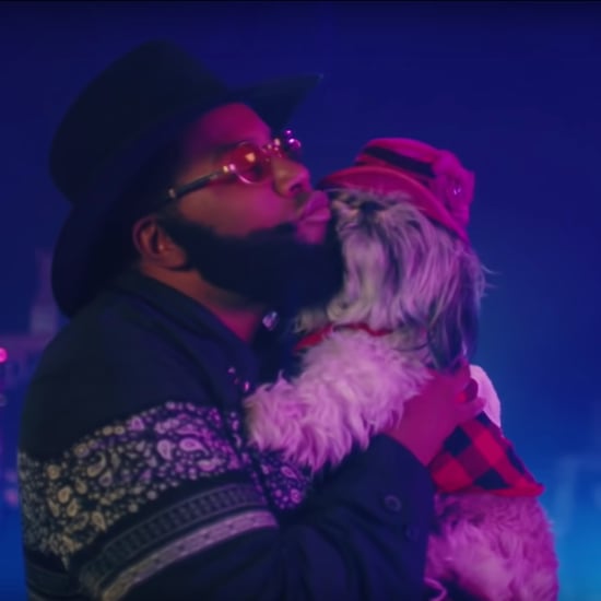 SNL“我爱我的狗”说唱音乐视频2019年1月