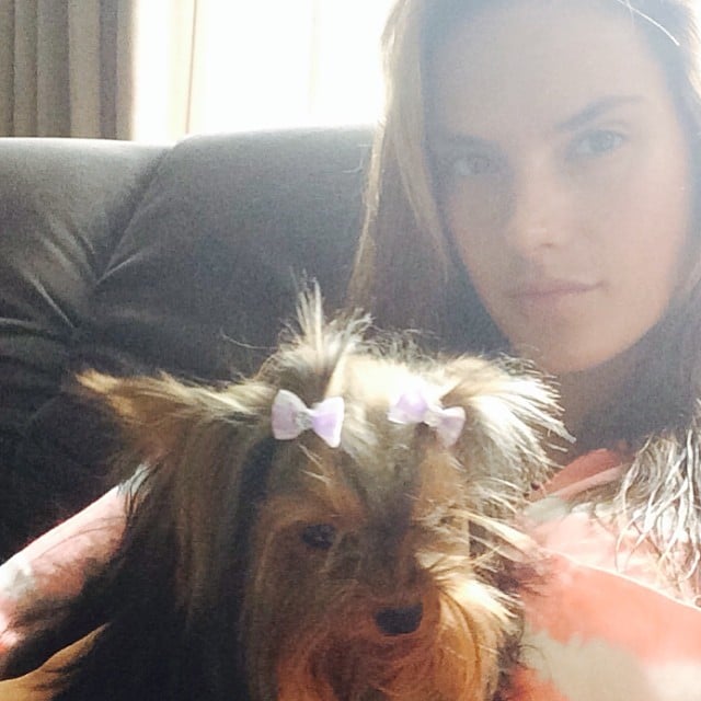 Alessandra Ambrosio cuddled with her dog — check out those tiny bows!
Source: Instagram user alessandraambrosio