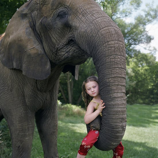 Photographer's Photos of Daughter and Animals