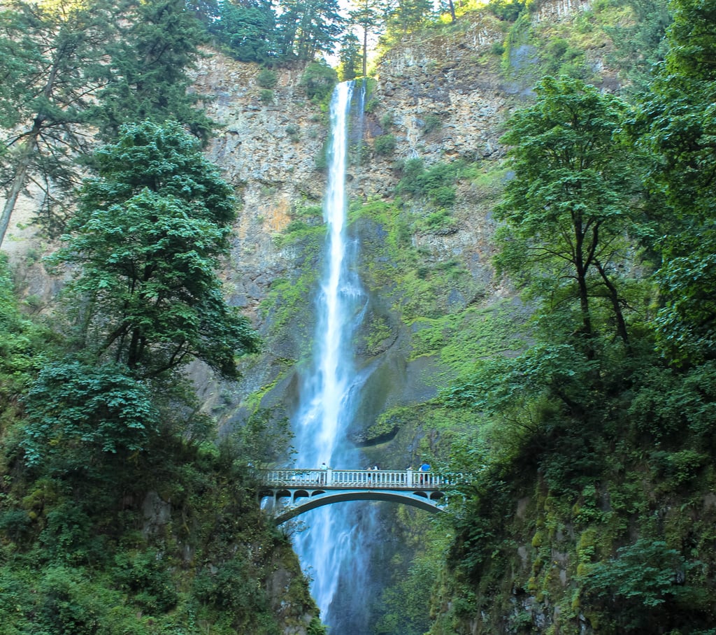 Just a short 30-minute drive outside of Portland is where you'll discover the infamous Multnomah Falls. This magnificent 600-foot waterfall allows you to experience the powerful force of Mother Nature up close and at ease. It is without a doubt one of Oregon's most recognizable waterfalls, and chances are you've probably already seen it a time or two on Instagram.
Make sure to arrive at the falls early though. Because the base of the waterfall is only a five-minute walk from the road, it doesn't take long before clusters of crowds flock to this neck of the woods. Just a short 30-minute drive outside of Portland is where you'll discover the infamous Multnomah Falls. This magnificent 600-foot waterfall allows you to experience the powerful force of Mother Nature up close and at ease. It is without a doubt one of Oregon's most recognizable waterfalls, and chances are you've probably already seen it a time or two on Instagram.
Make sure to arrive at the falls early though. Because the base of the waterfall is only a five-minute walk from the road, it doesn't take long before clusters of crowds flock to this neck of the woods.