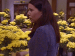 Yellow Daisies