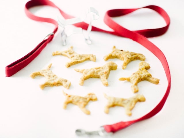 Carrot and apple dog biscuits outlet