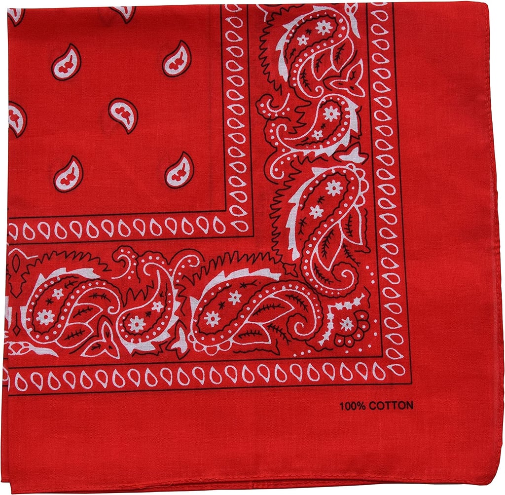 Raylarnia One Piece Novelty Bandana