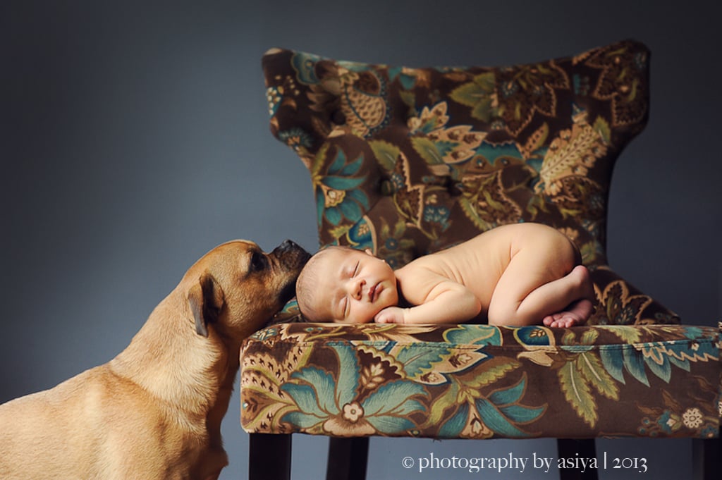 Adorable Newborn and Pet Photos