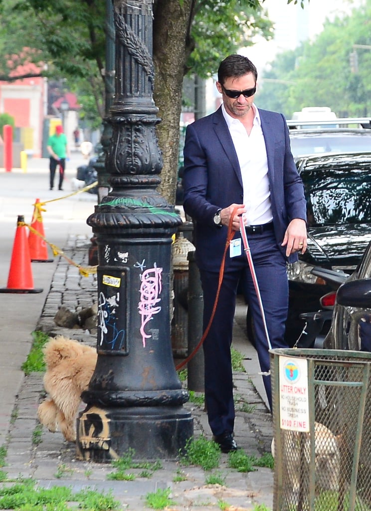 Hugh Jackman Walking His Dogs in a Suit in NYC