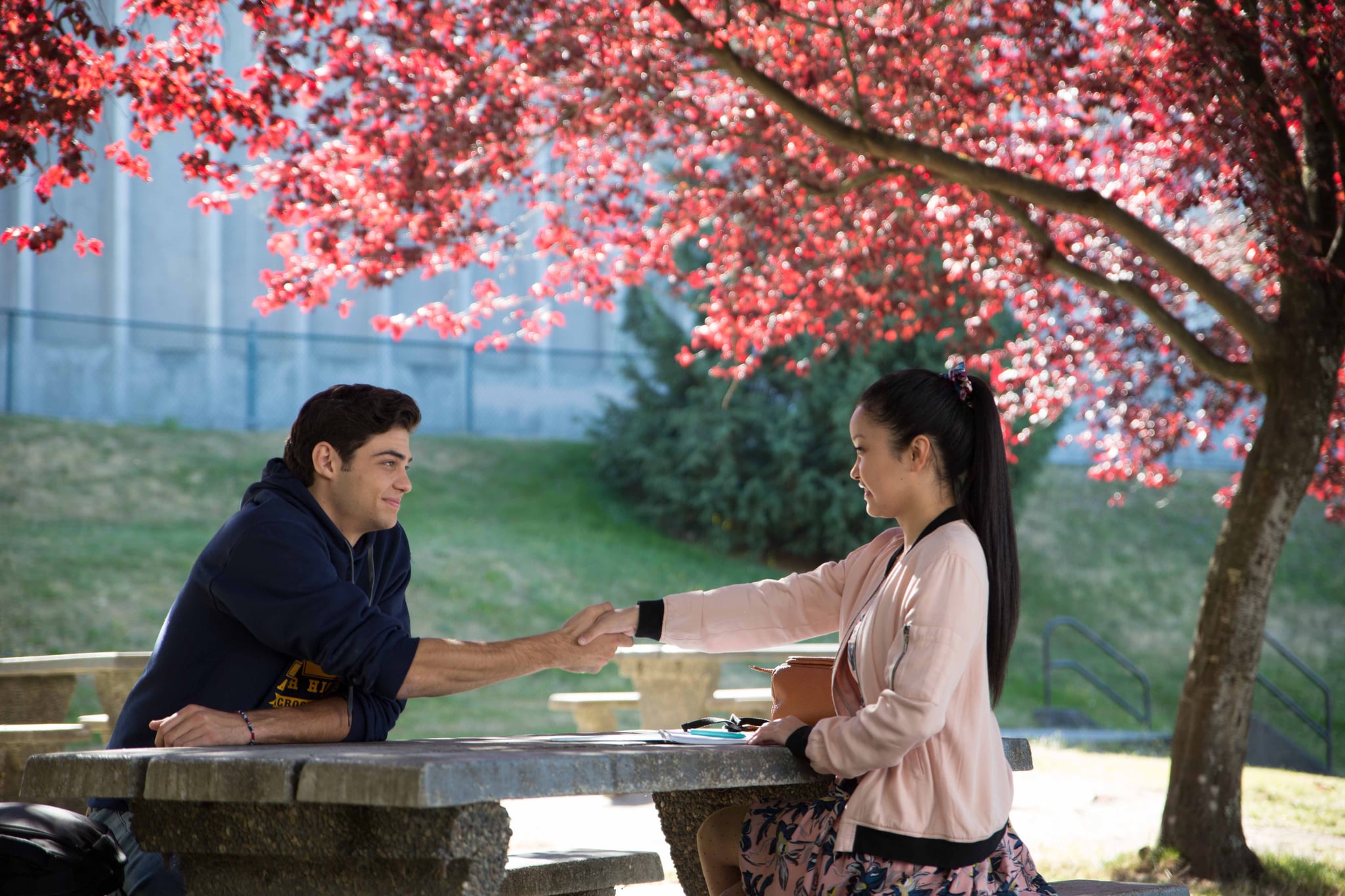 To All the Boys I ve Loved Before If Dash Lily Made Your Heart