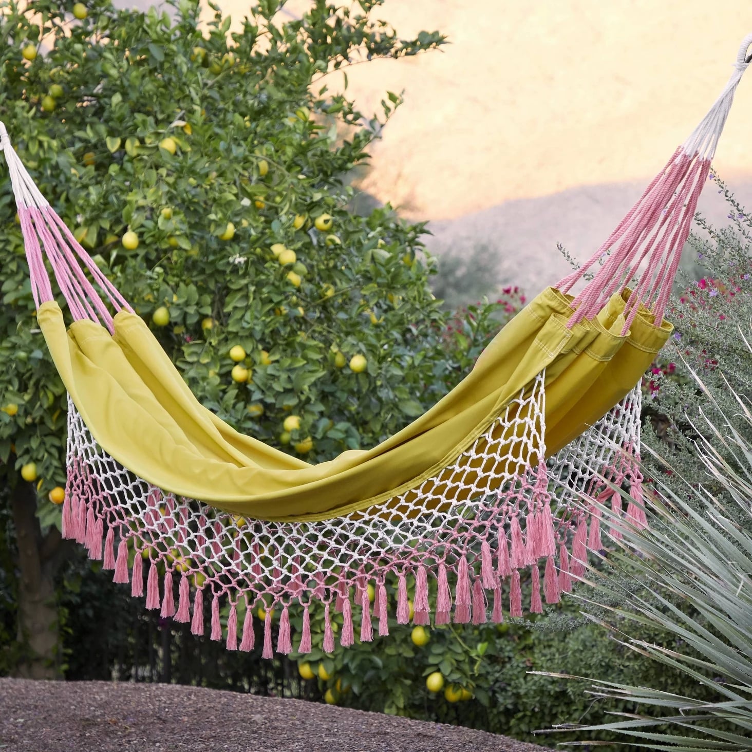 macrame hammock target