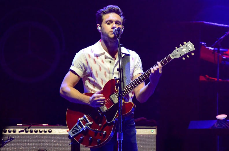 Niall Horan Stopping a Concert in 2018