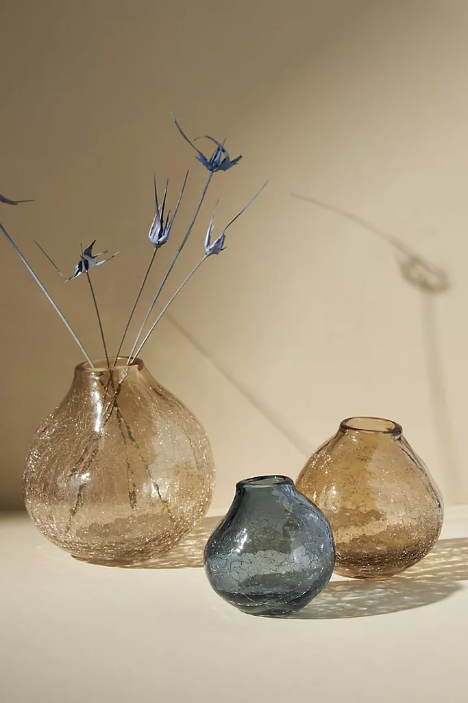 A Glass Flower Vase: Nova Vase