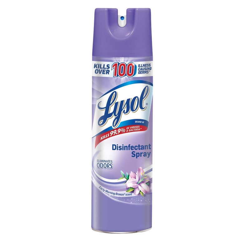 Lysol Disinfectant Spray — Early Morning Breeze