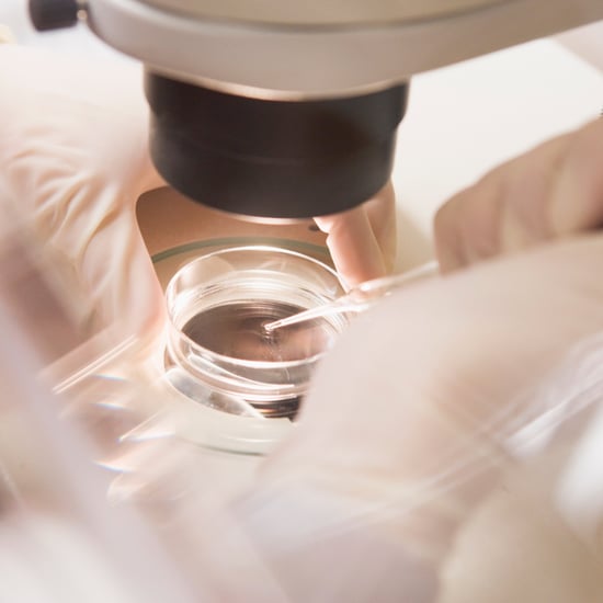 Freezing Eggs to Delay Pregnancy