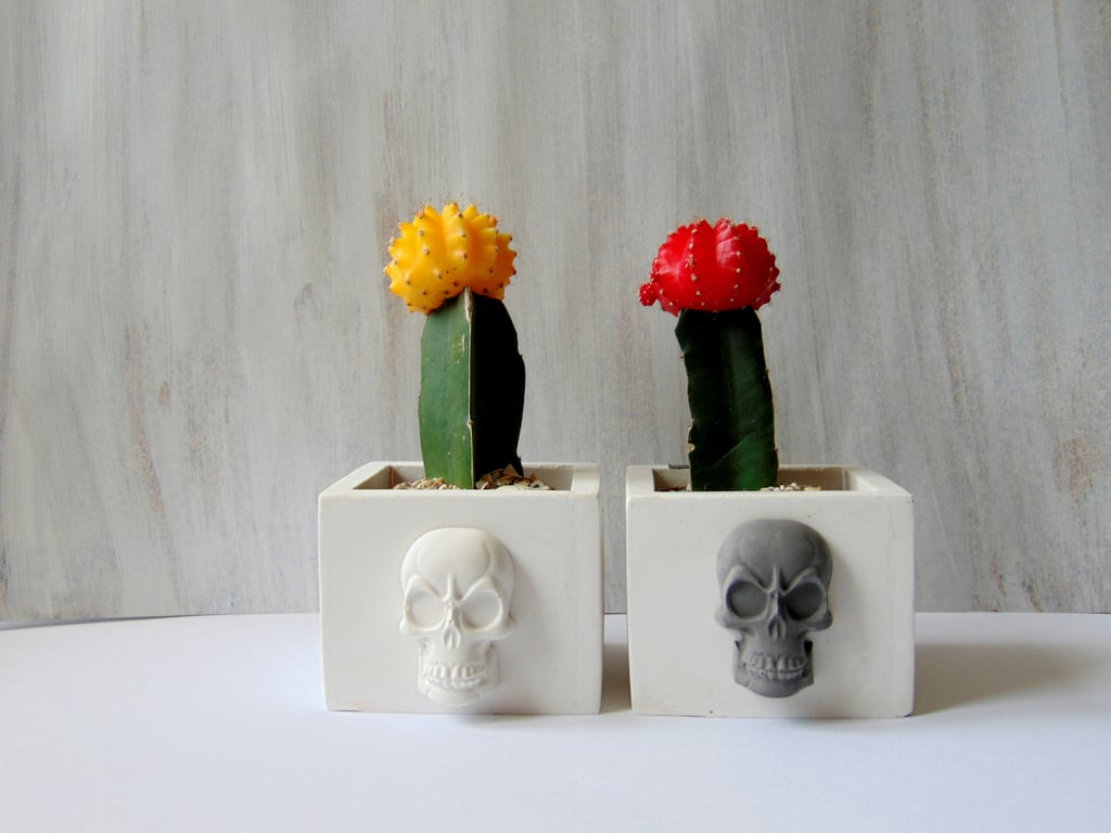 Want to get in on the trend without getting a full-on skull? These cube planters ($35 for the set) are just what you've been looking for.