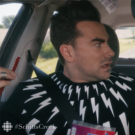 Cat Dressed in Schitt's Creek DIY Halloween Costumes