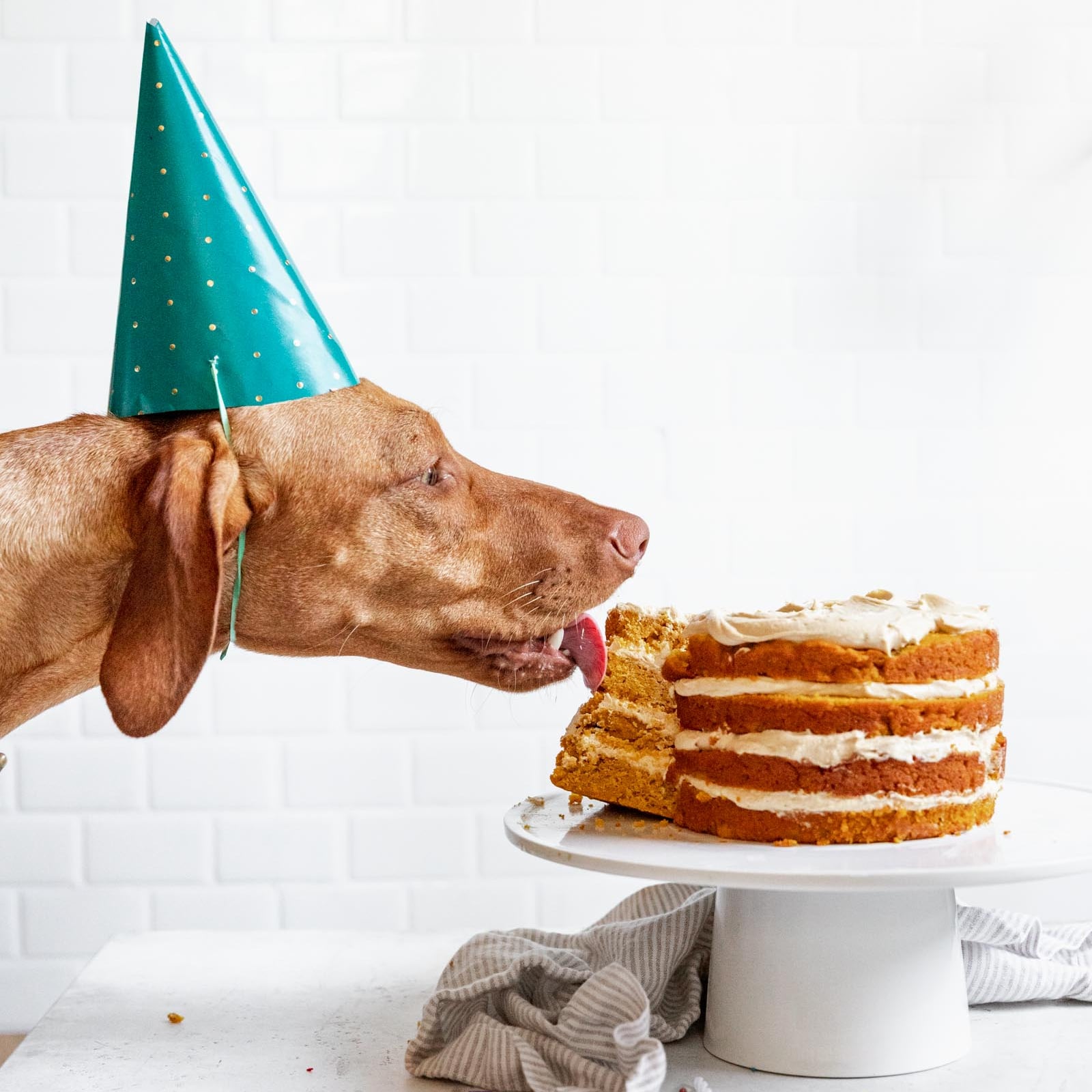 peanut butter dog birthday cake
