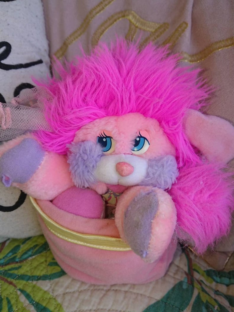 Popples