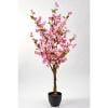 51 in. Cherry Tree in-Pot