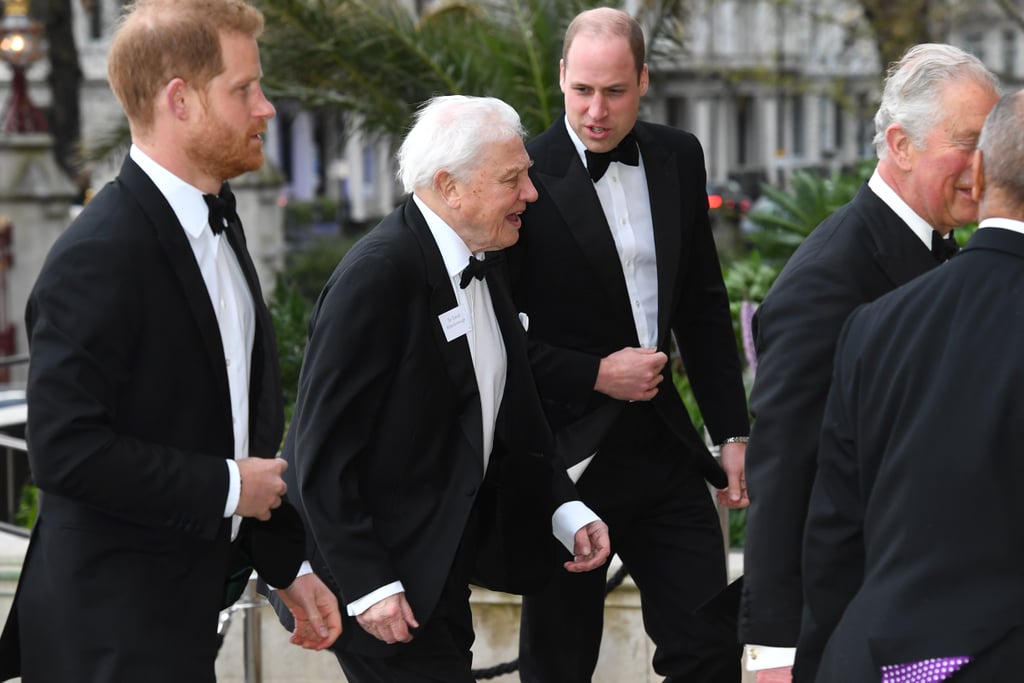 Harry, William, and Charles at Our Planet Premiere 2019