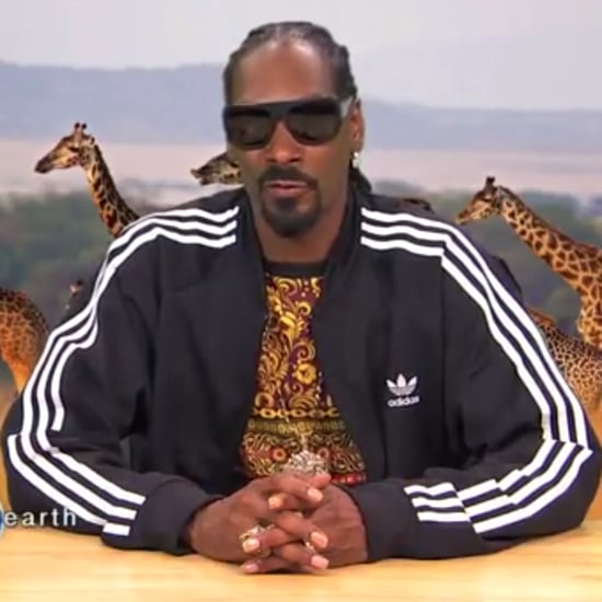 Snoop Dogg's Plizzanet Earth