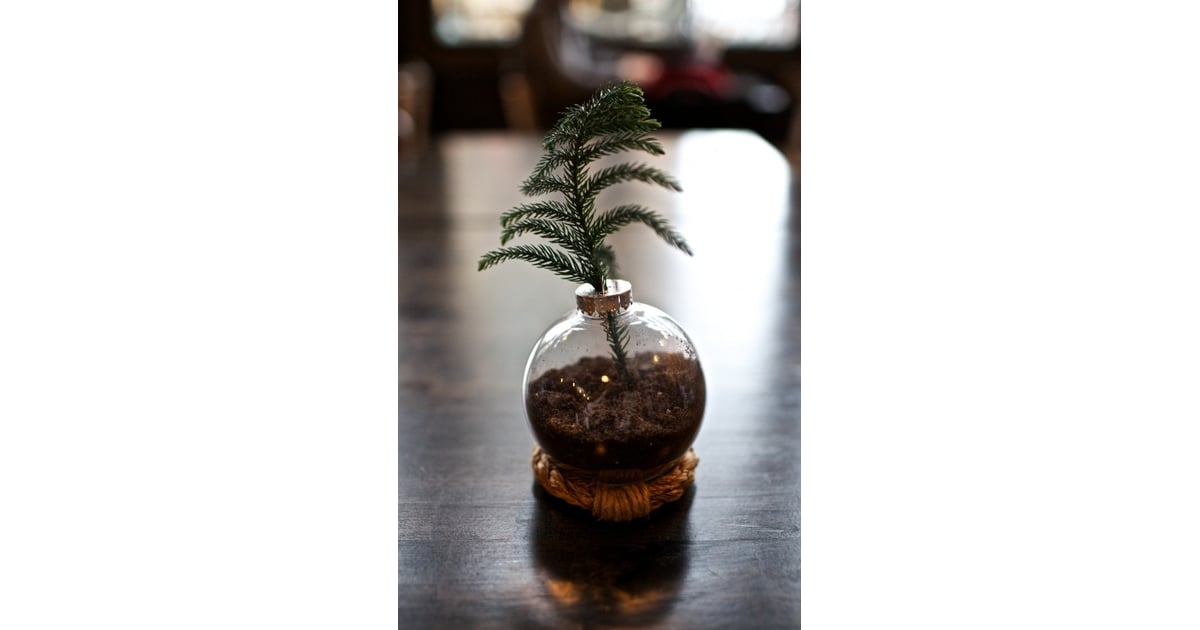 Ornament Vases Glass Ball Ornament DIYs POPSUGAR Smart Living Photo 21