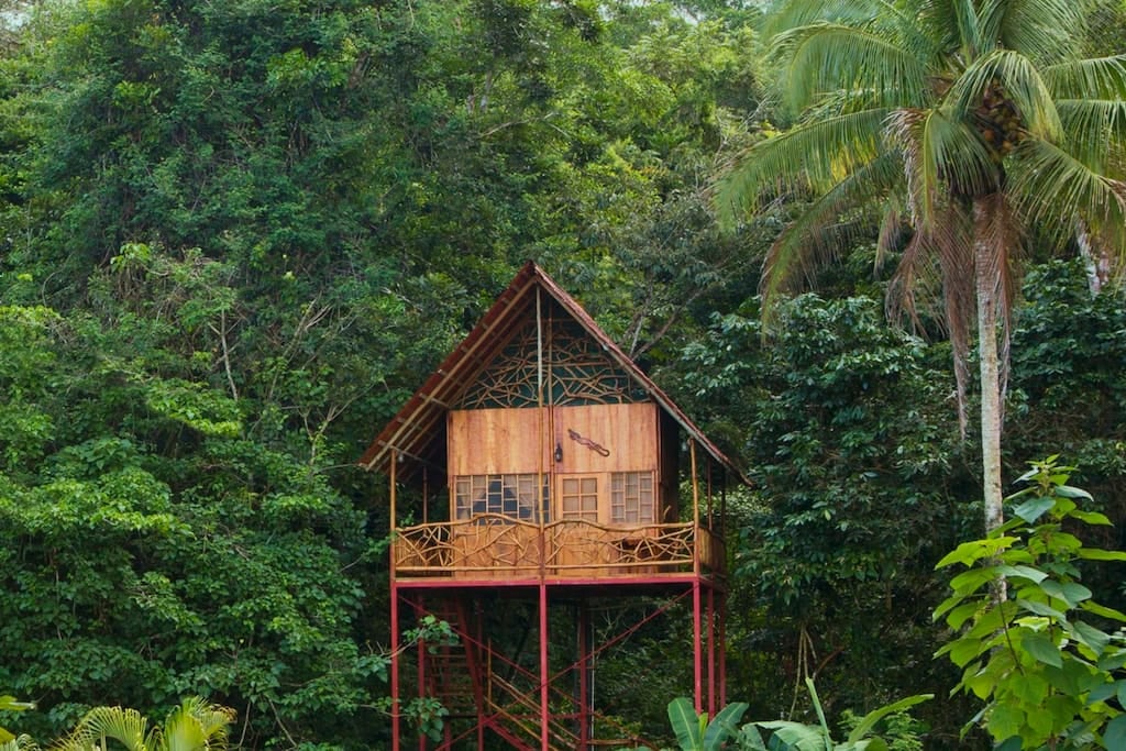 Costa Rican treehouse