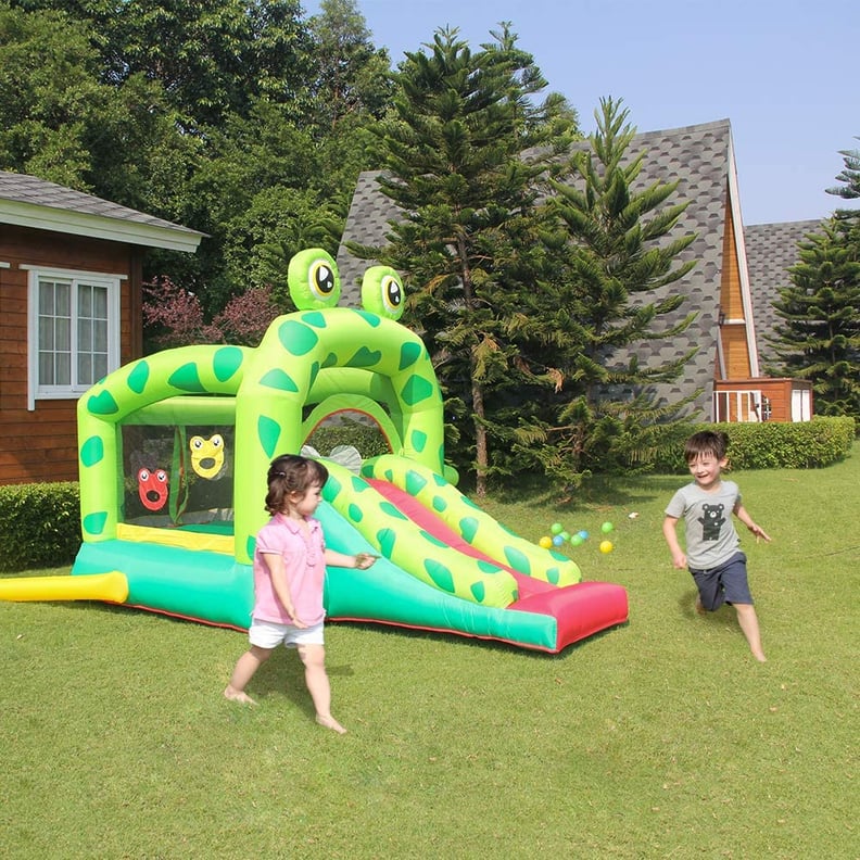 Doctor Dolphin Inflatable Bounce House