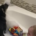Please Watch This Adorable Pup Jump Into the Bathtub So He Can Hang Out With a Toddler