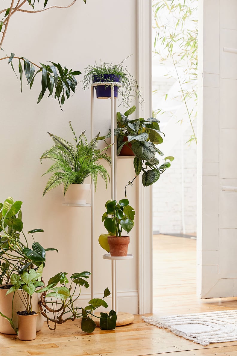 Shelby Tiered Plant Stand