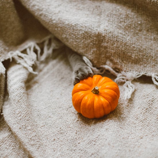 Affordable Fall Activities