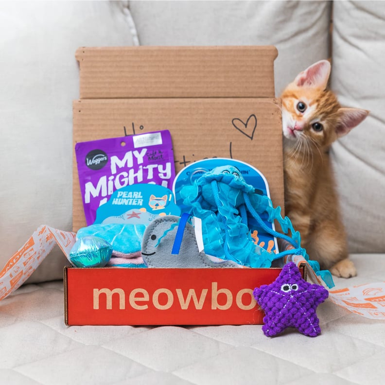 A Subscription Box For Cat Parents: Meowbox