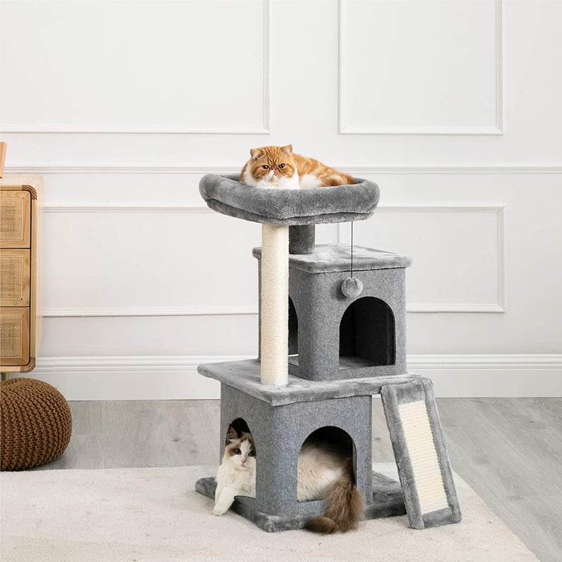 A Deal on a Cat Tree