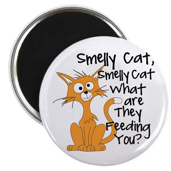 Smelly Cat Magnet
