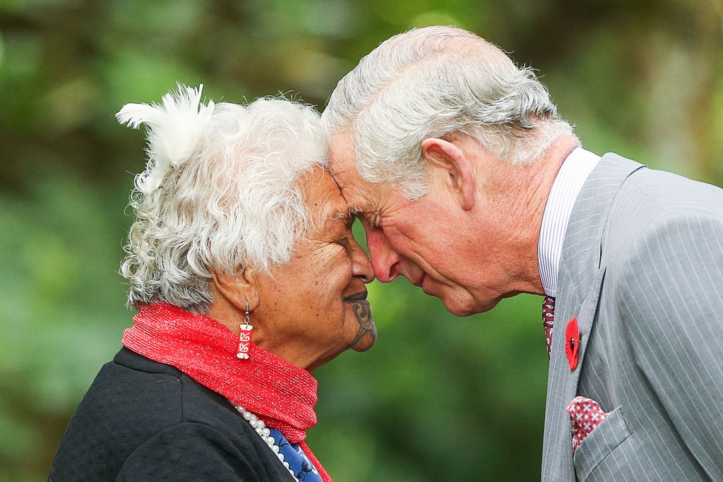 Prince Charles and Camilla in New Zealand Nov. 2015 Pictures